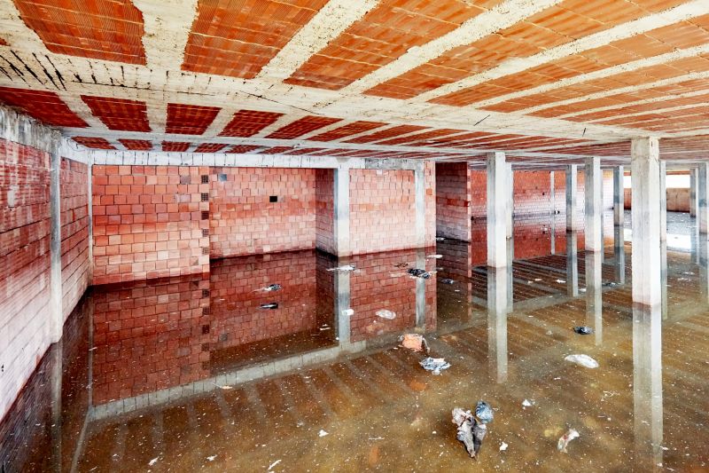 Flooded Basement Cleanup detail