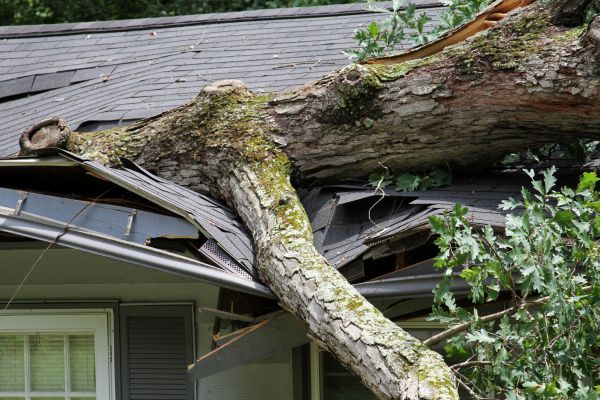 Cost of Storm Remediation in Irving