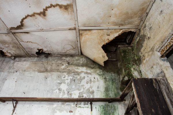 Water Damage Service in Irving
