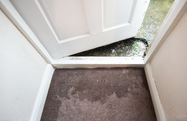 Wet Carpet Restoration in Irving