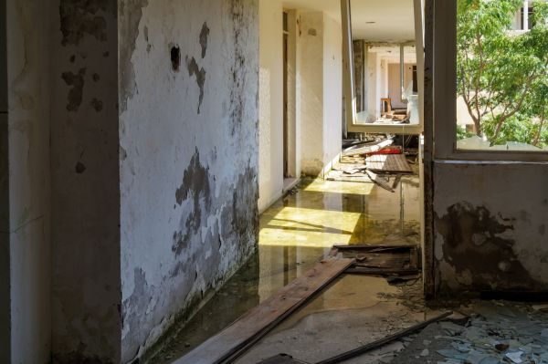 Water Removal Service in Irving