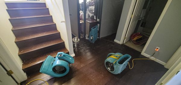 Water Damage Remediation in Irving