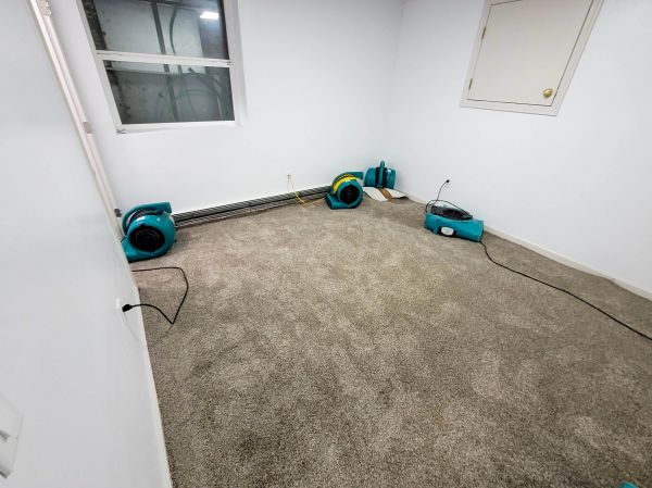 Flood Restoration Service in Irving