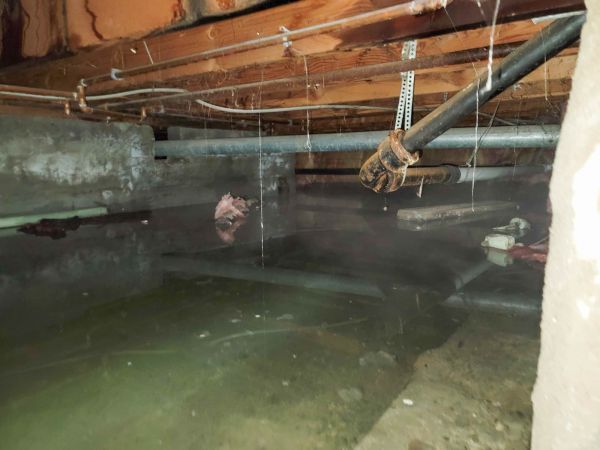 Cost of Crawl Space Drying in Irving