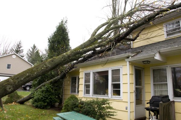 Hurricane Damage Repair in Irving